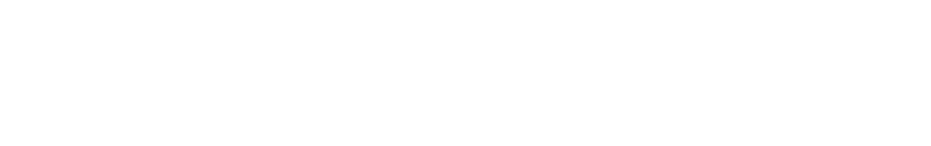 RoboRobo