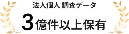 法人個人調査データ3億件以上保有